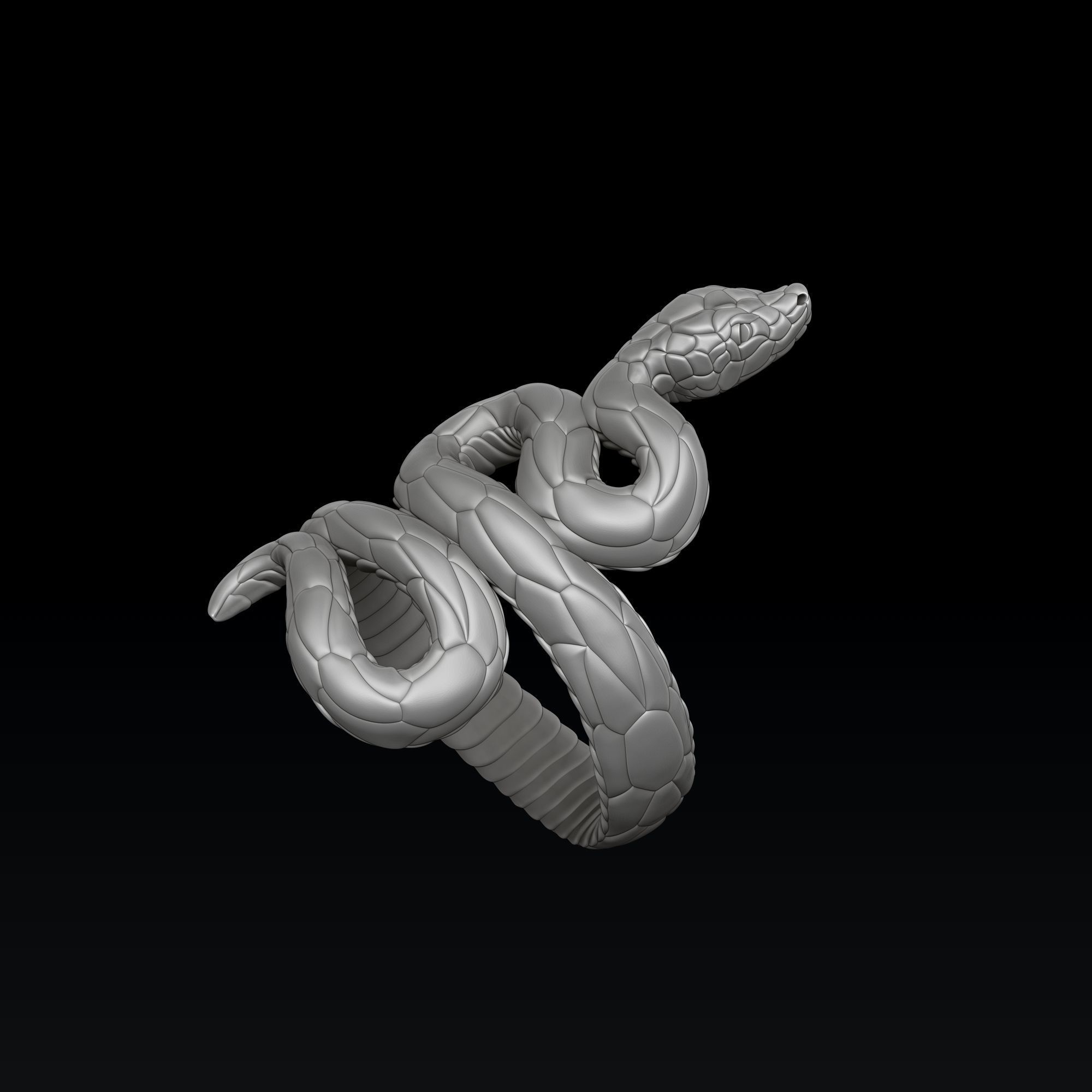 Snake Ring pendant v3 Collection _3
