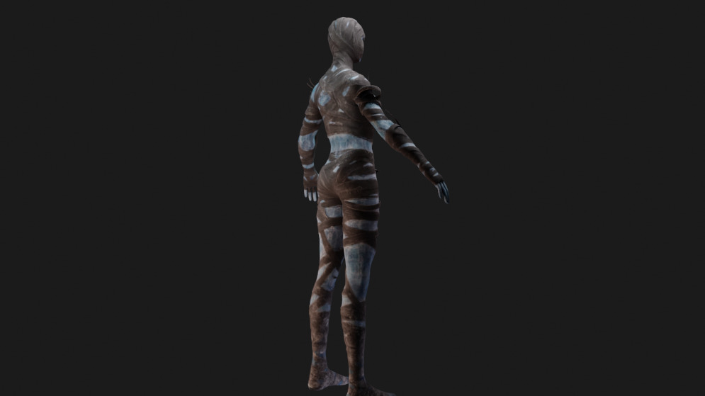 Polar Spectrophage Set Female Rigged Low-poly 3D model_4