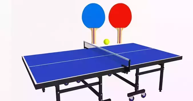Tennis Table AND Tennis Paddles