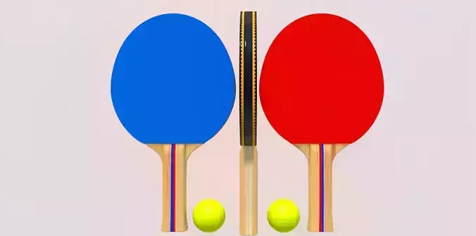 Table Tennis Paddles 3D model