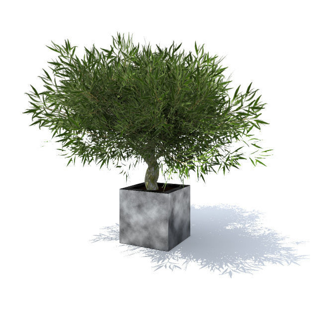tree vol 4 3D model_8