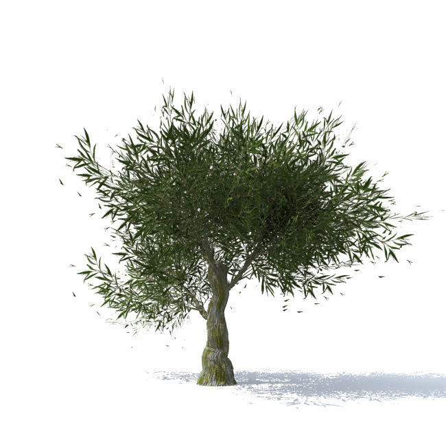 tree vol 4 3D model_3