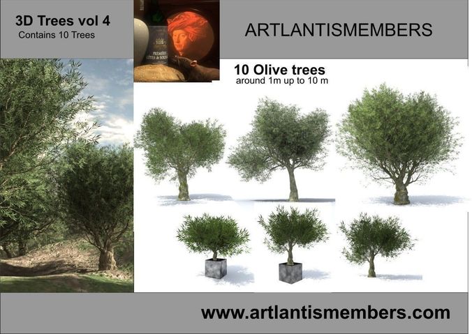 tree vol 4 3D model