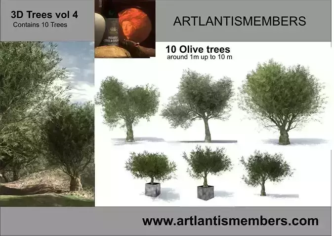 tree vol 4 3D model