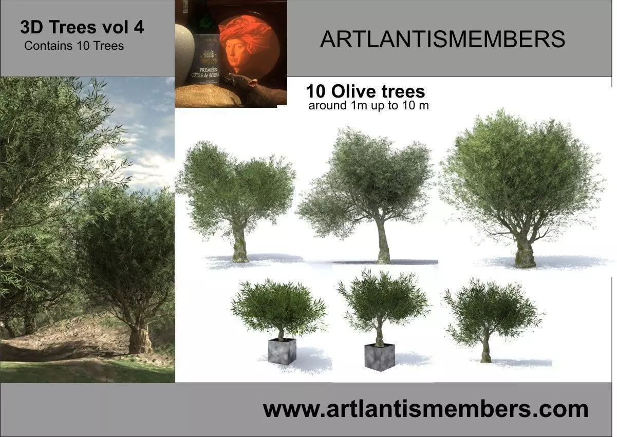 tree vol 4 3D model_0