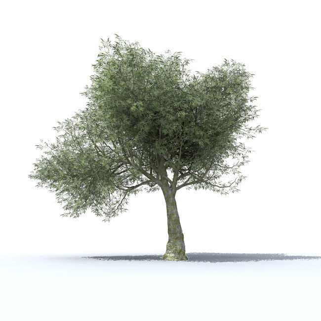 tree vol 4 3D model_2