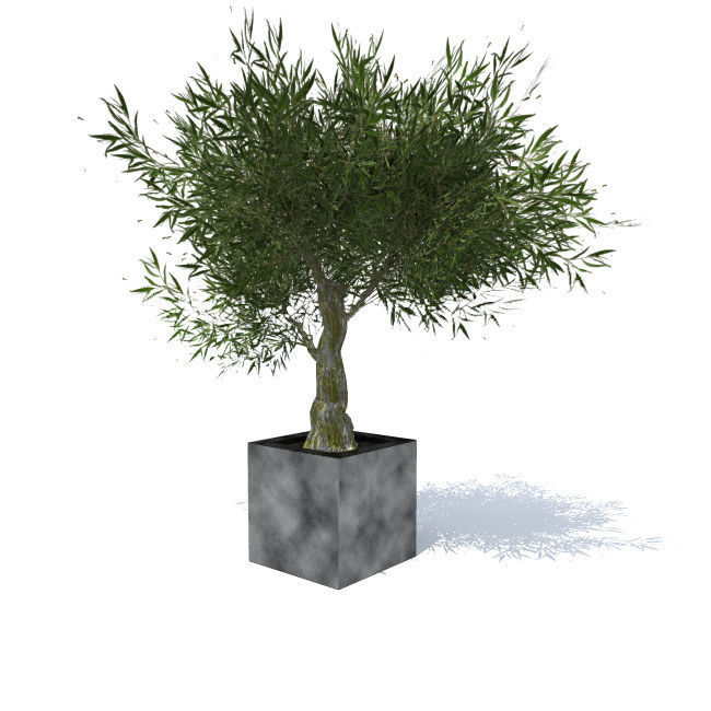 tree vol 4 3D model_9