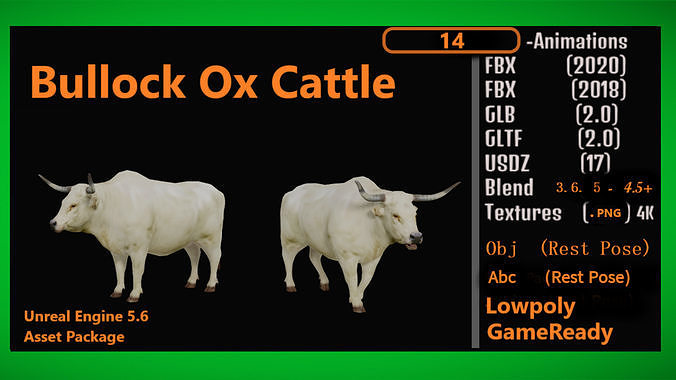 Bullock Ox Cattle Low-poly 3D model