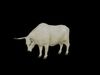 Bullock Ox Cattle Low-poly 3D model_1