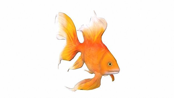 Goldfish Low-poly 3D model