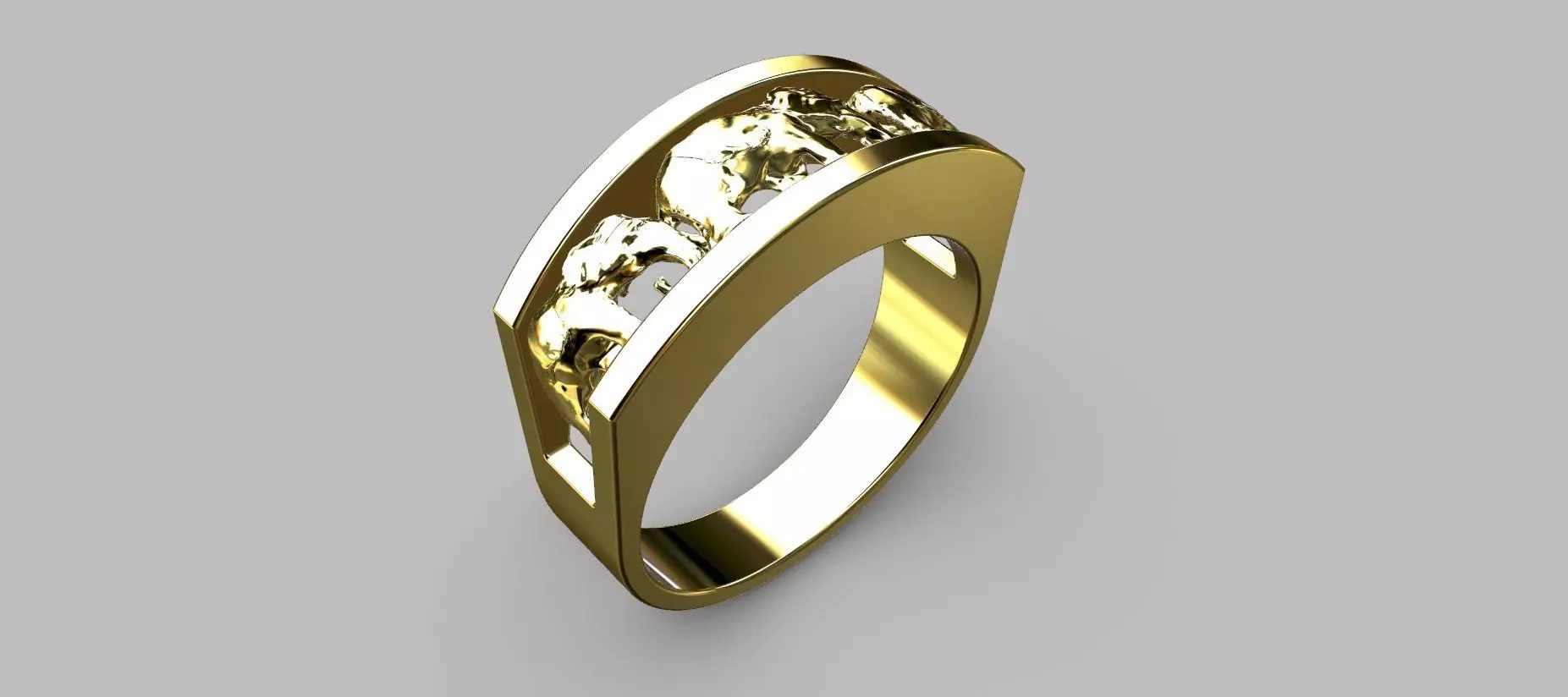 Elephant Ring 3D print model