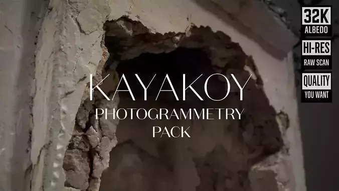 Abandoned House Ruined Part Scan - Fireplace 02