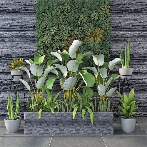 Home Potted Plant Collection 3D model