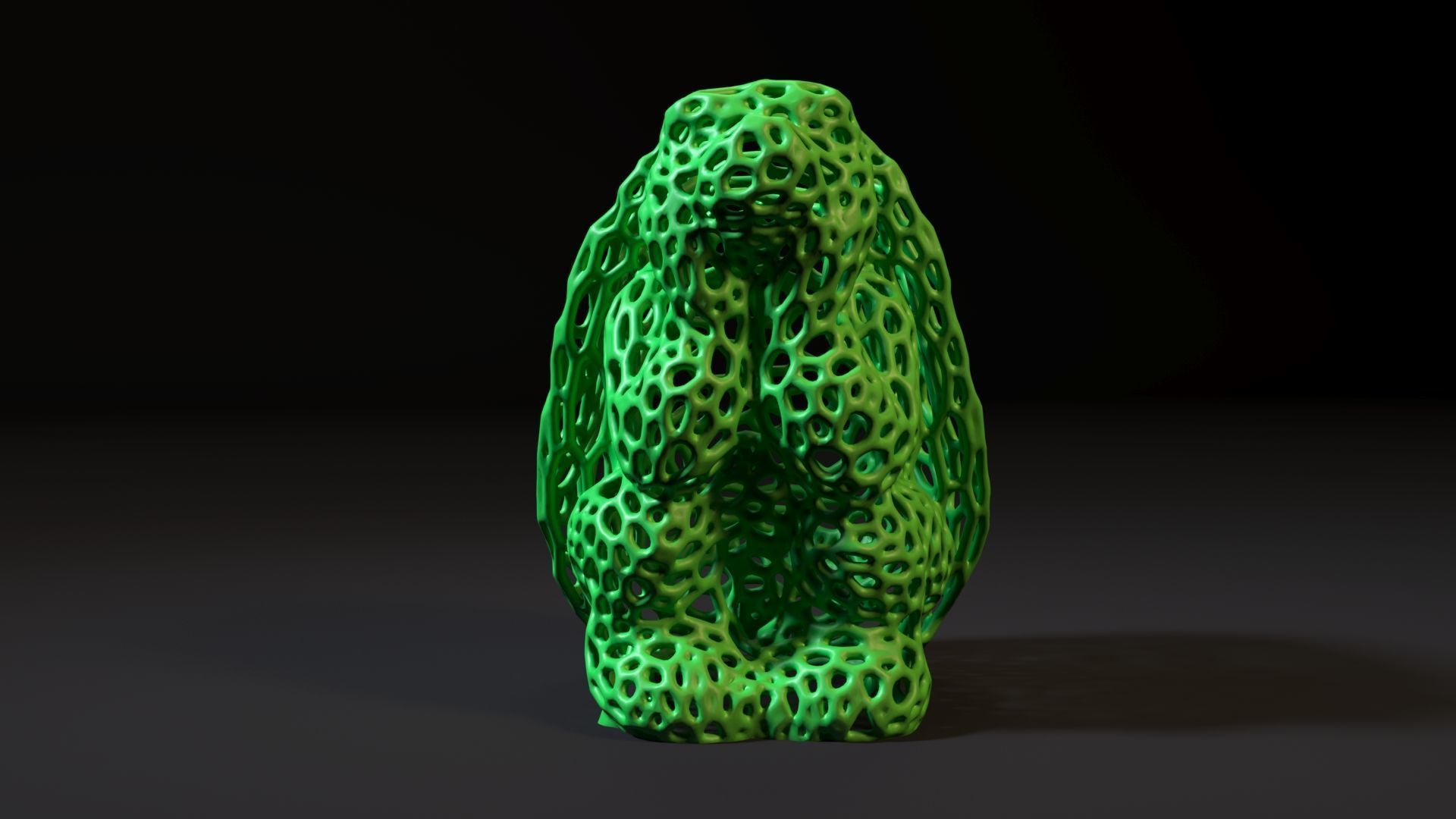 Turtle Voronoi 3D print model_7