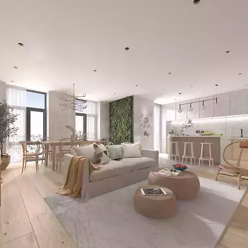 Full Kitchen and Living Room Combo