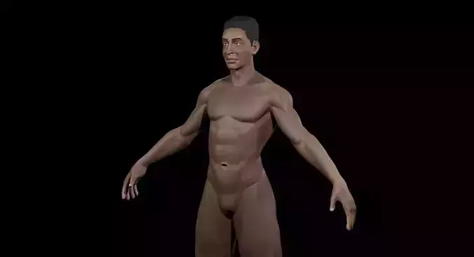 Lean Body - Slim Fit Male Anatomy Character Free 3D model