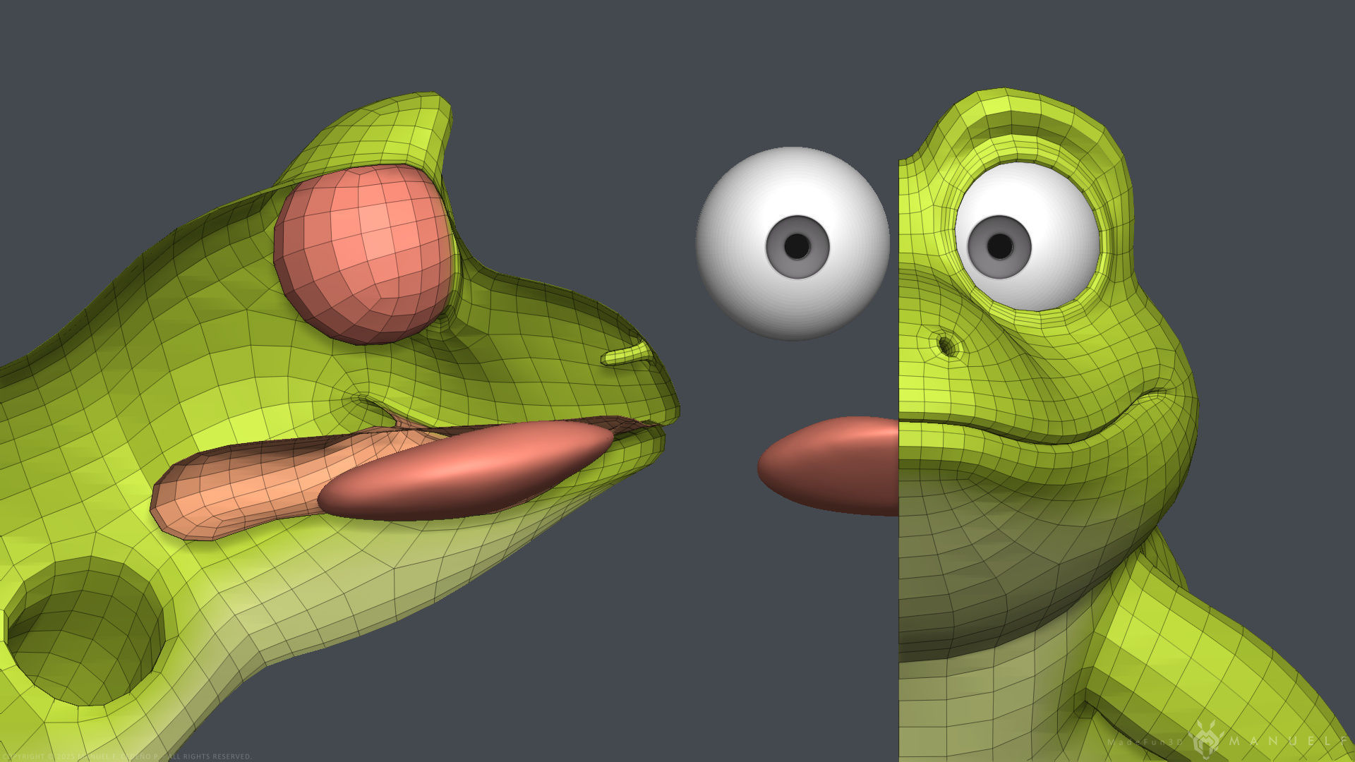 Stylized Cartoon Frog 3D model_12