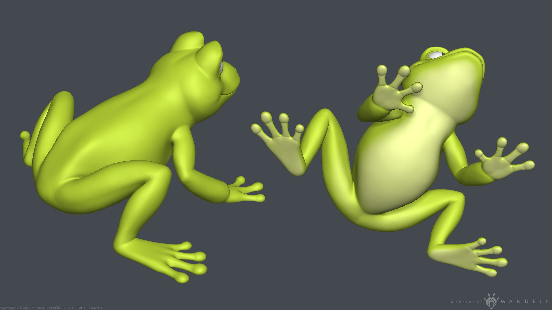 Stylized Cartoon Frog 3D model_7