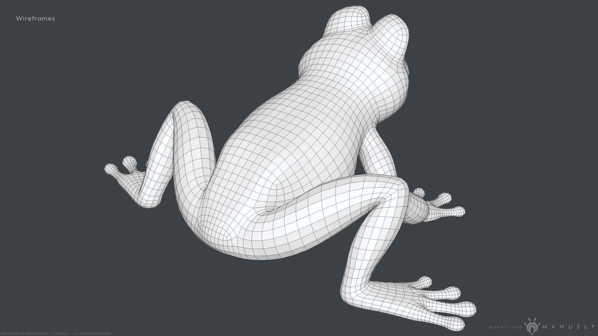Stylized Cartoon Frog 3D model_16