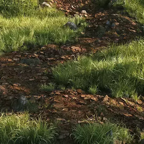 Grass Pack 001 - Ornamental Grasses