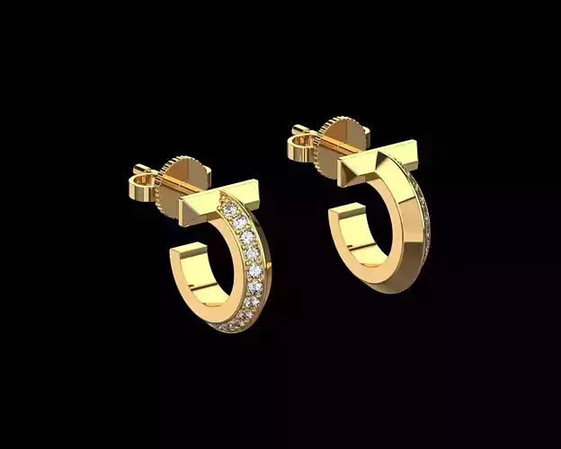 Tiffany T Earrings N238