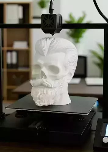 Stylized Skull with Beard and Hair 3D print model