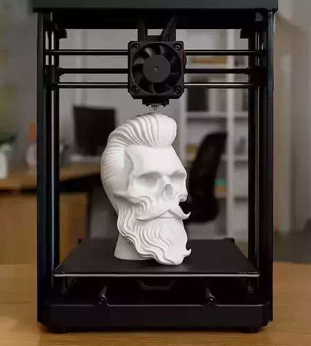 Skull with Flowing Beard and Hair for 3D Printing 3D print model