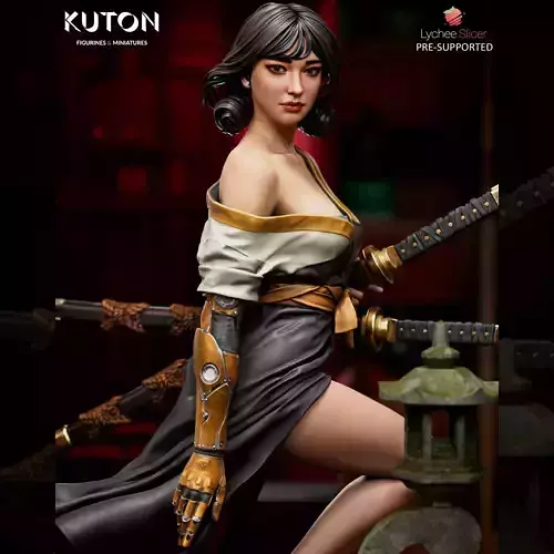 Kira Mekai 3D print model