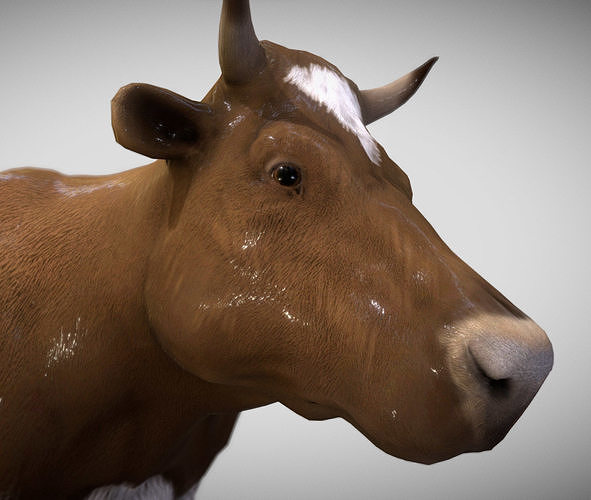 Cow  The Gentle Grazer of Fields and Farms 3D Model Low-poly 3D model