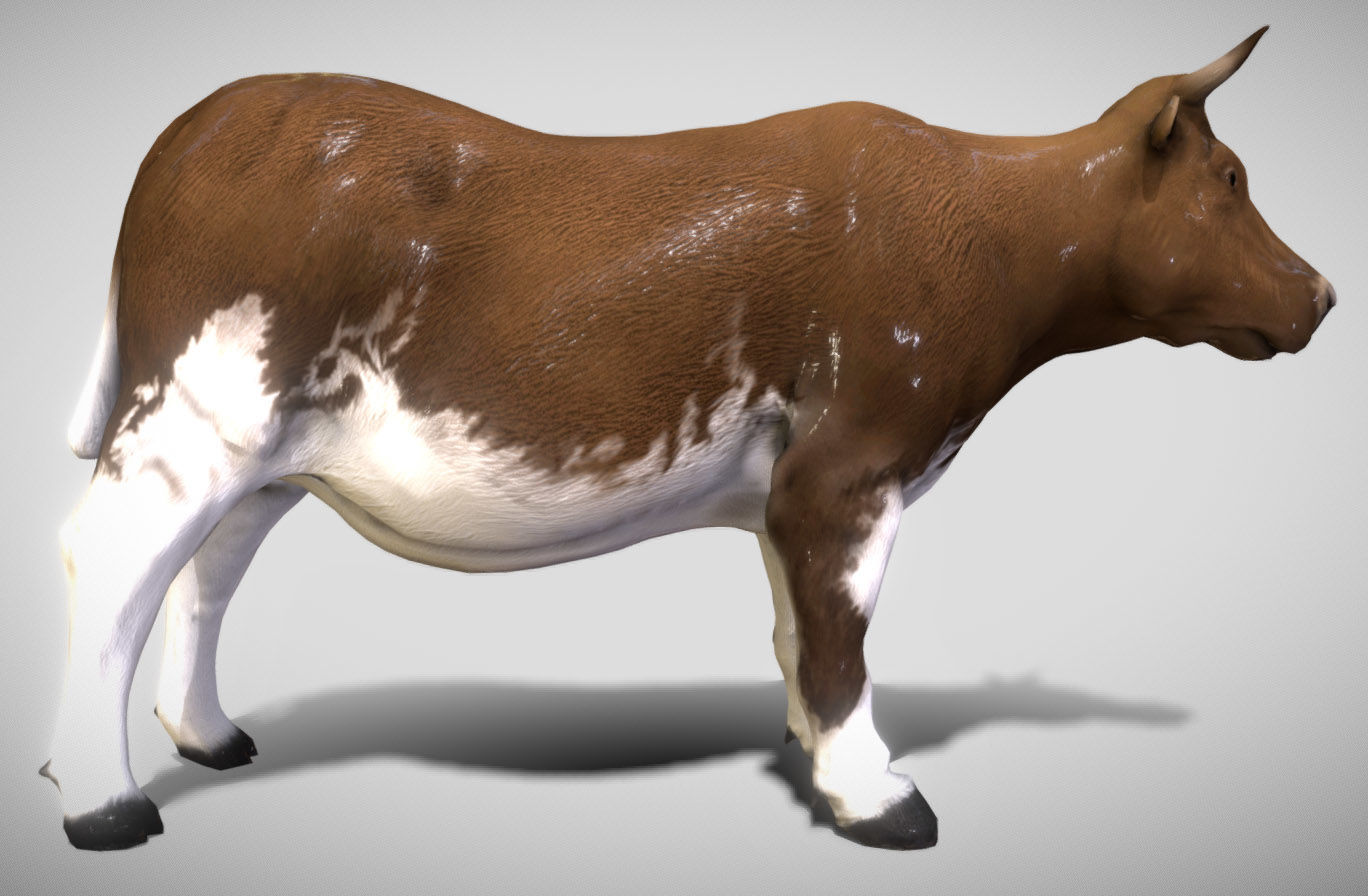 Cow  The Gentle Grazer of Fields and Farms 3D Model Low-poly 3D model_5