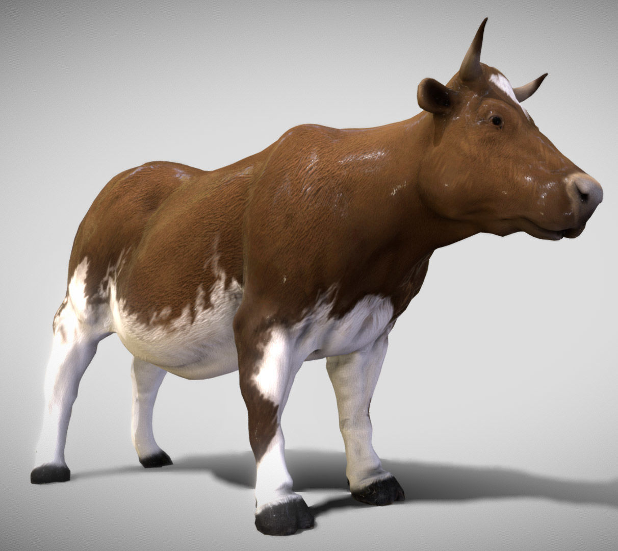 Cow  The Gentle Grazer of Fields and Farms 3D Model Low-poly 3D model_2