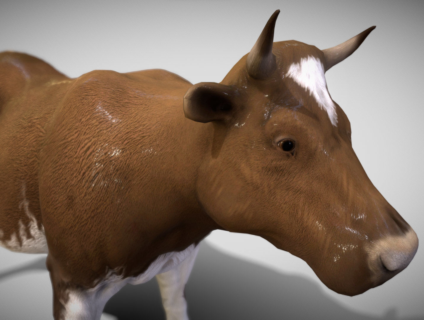 Cow  The Gentle Grazer of Fields and Farms 3D Model Low-poly 3D model_6