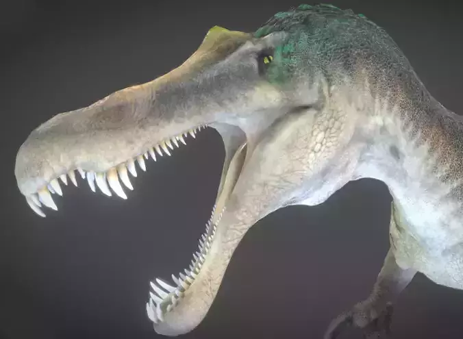 Suchomimus Low-poly 3D model