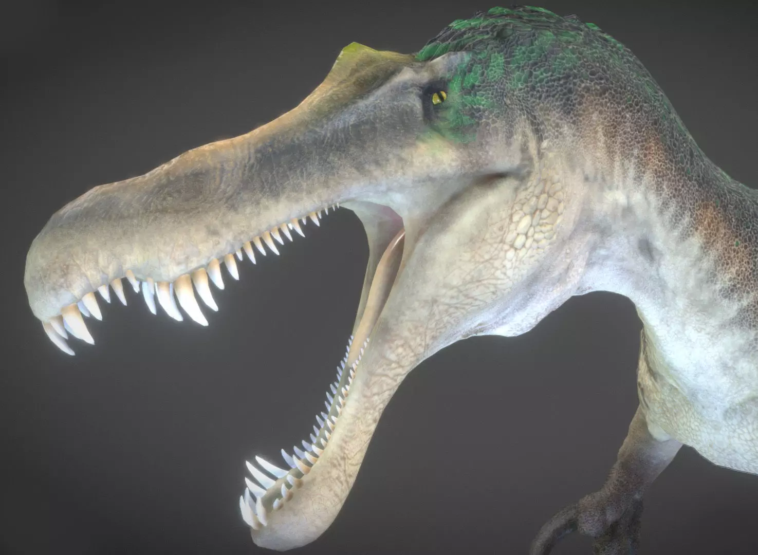 Suchomimus Low-poly 3D model_0