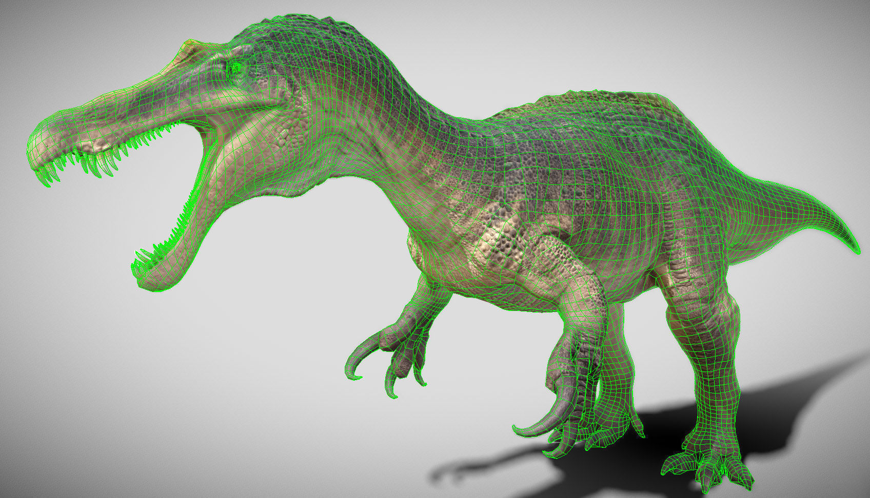 Suchomimus Low-poly 3D model_7