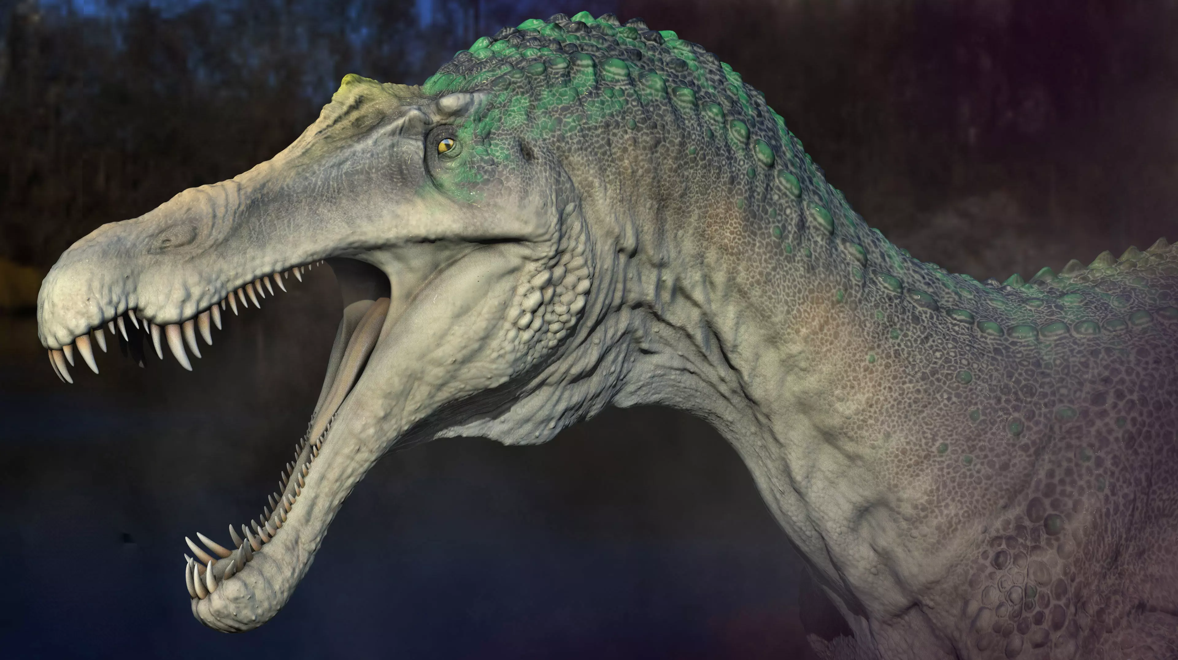 Suchomimus Low-poly 3D model_2