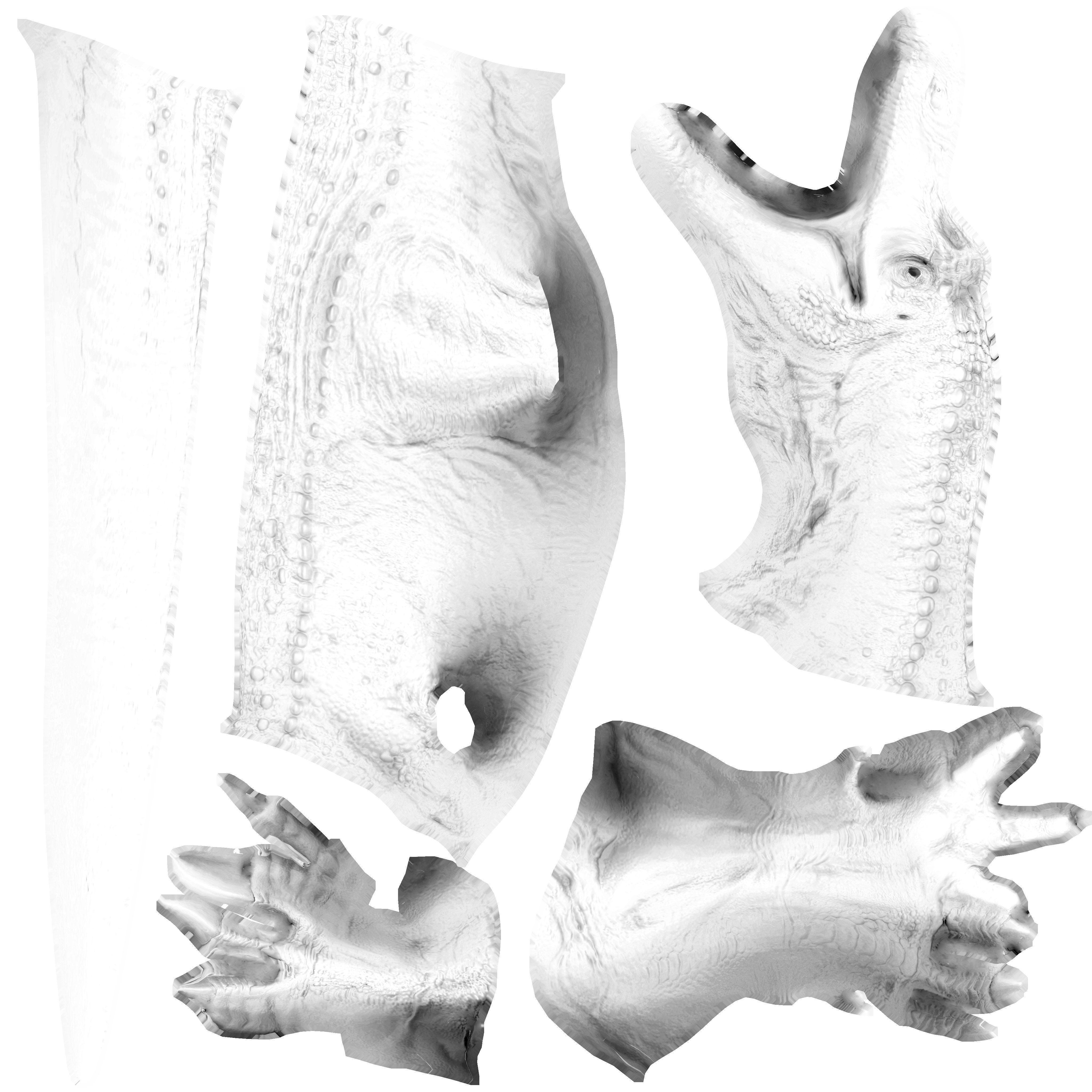 Suchomimus Low-poly 3D model_8