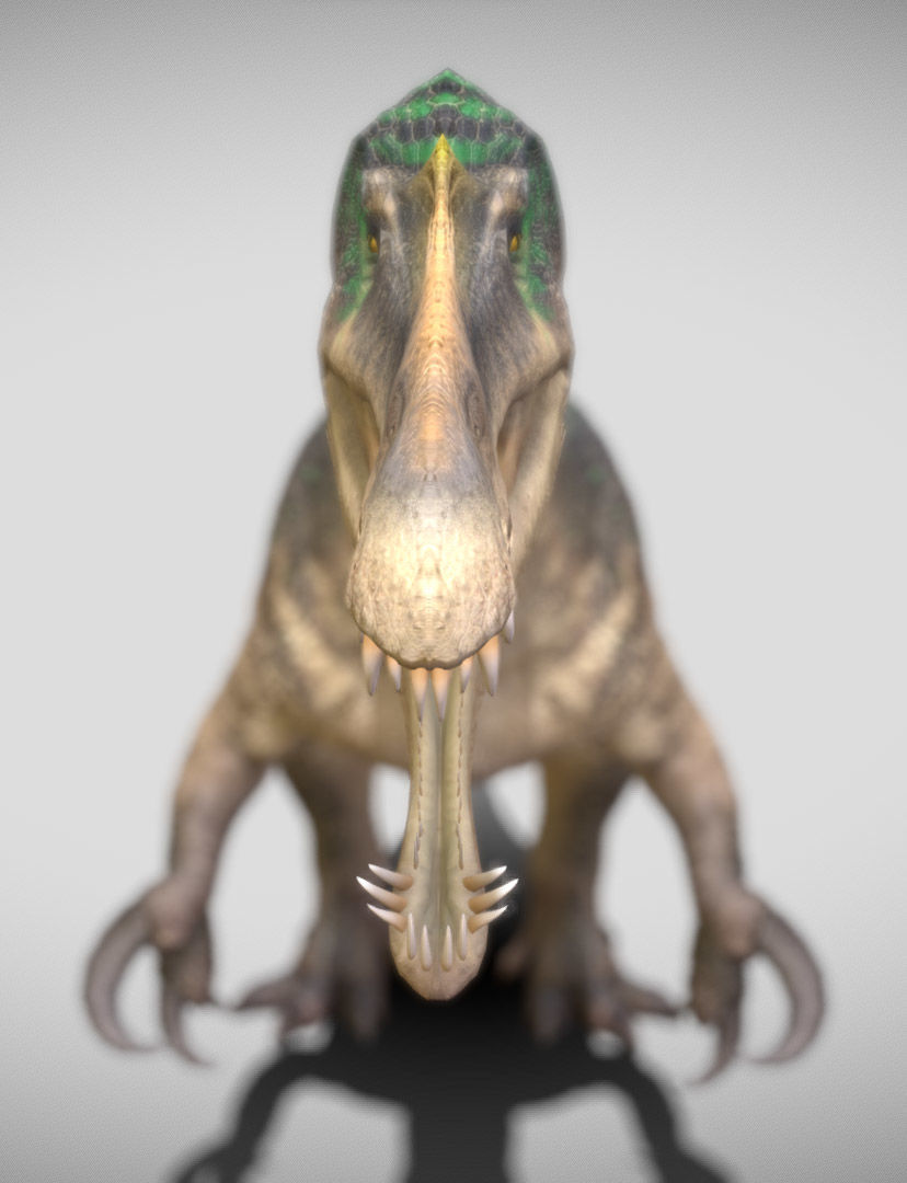 Suchomimus Low-poly 3D model_11