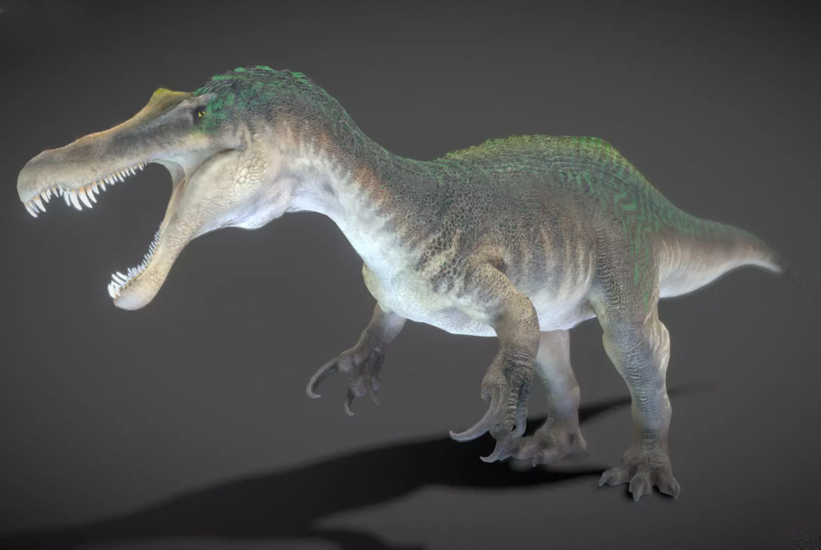 Suchomimus Low-poly 3D model_4