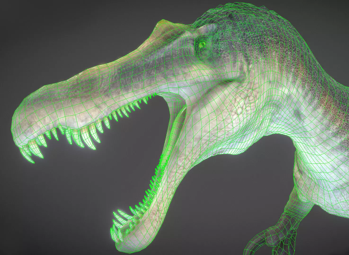 Suchomimus Low-poly 3D model_1