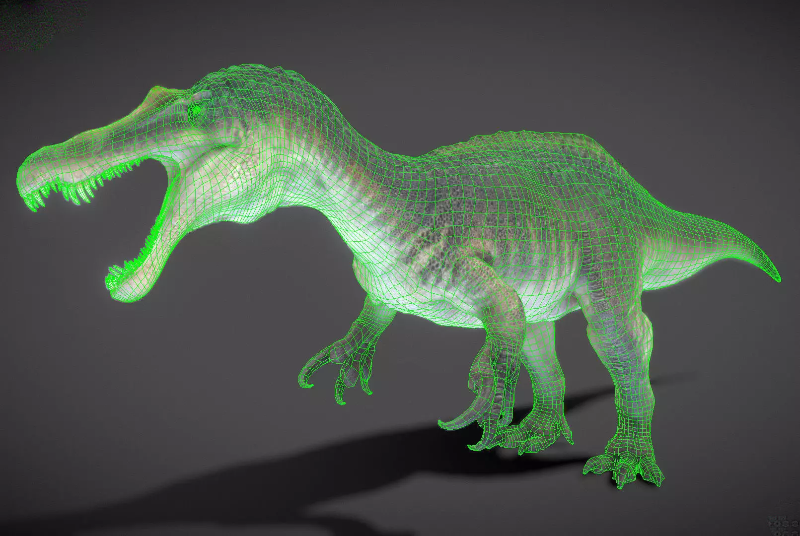 Suchomimus Low-poly 3D model_5