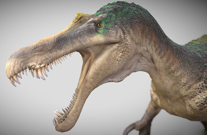 Suchomimus Low-poly 3D model