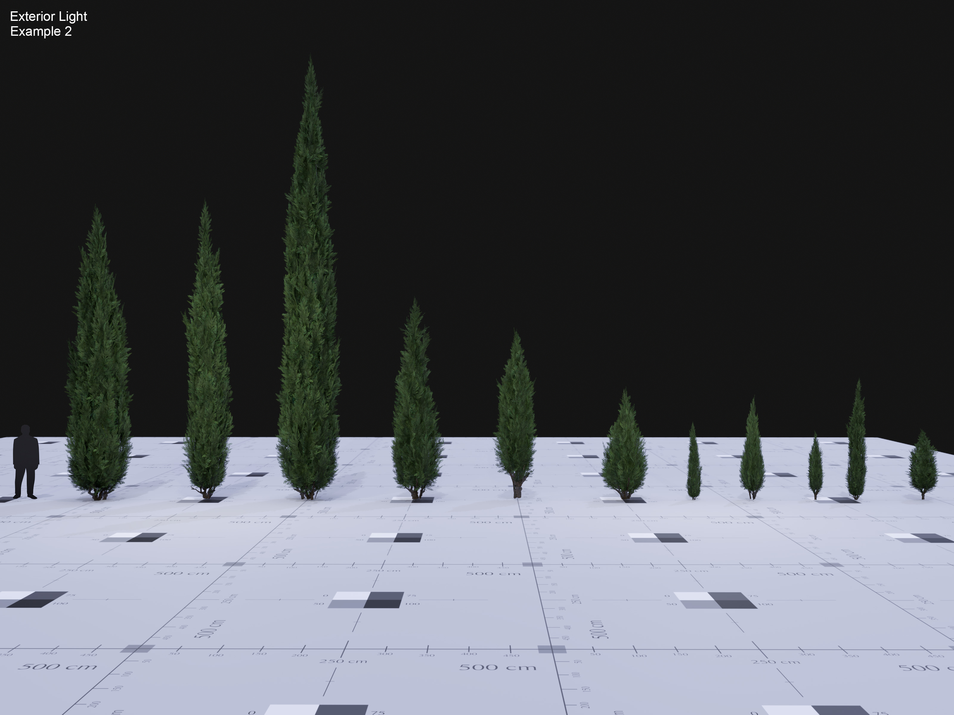 Nature Assets - Italian Cypress Low-poly 3D model_9