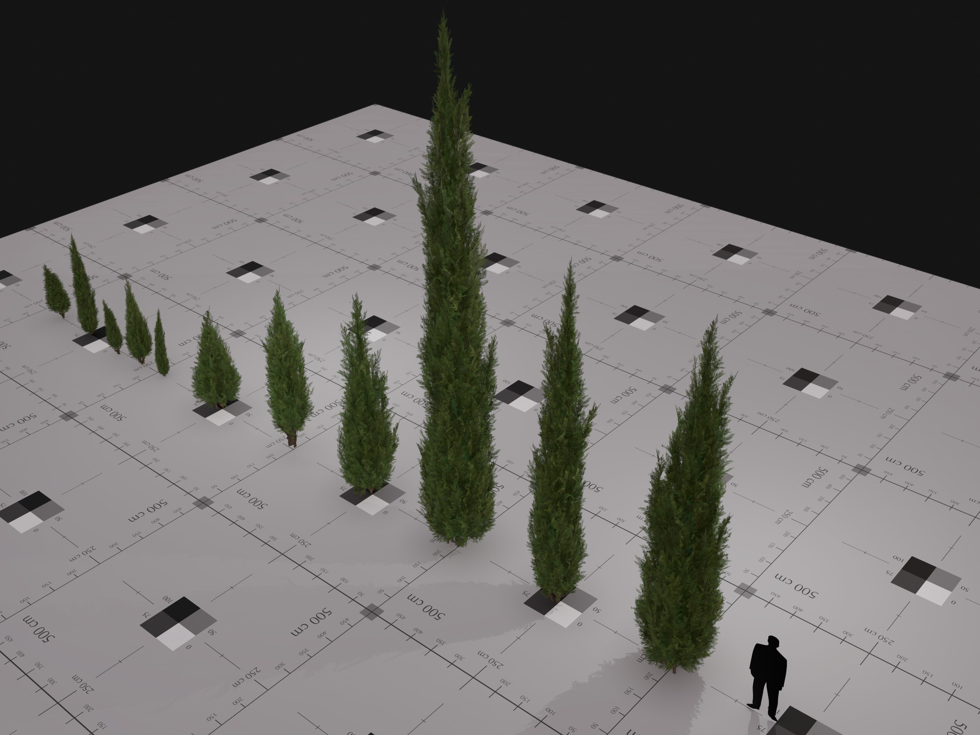 Nature Assets - Italian Cypress Low-poly 3D model_3