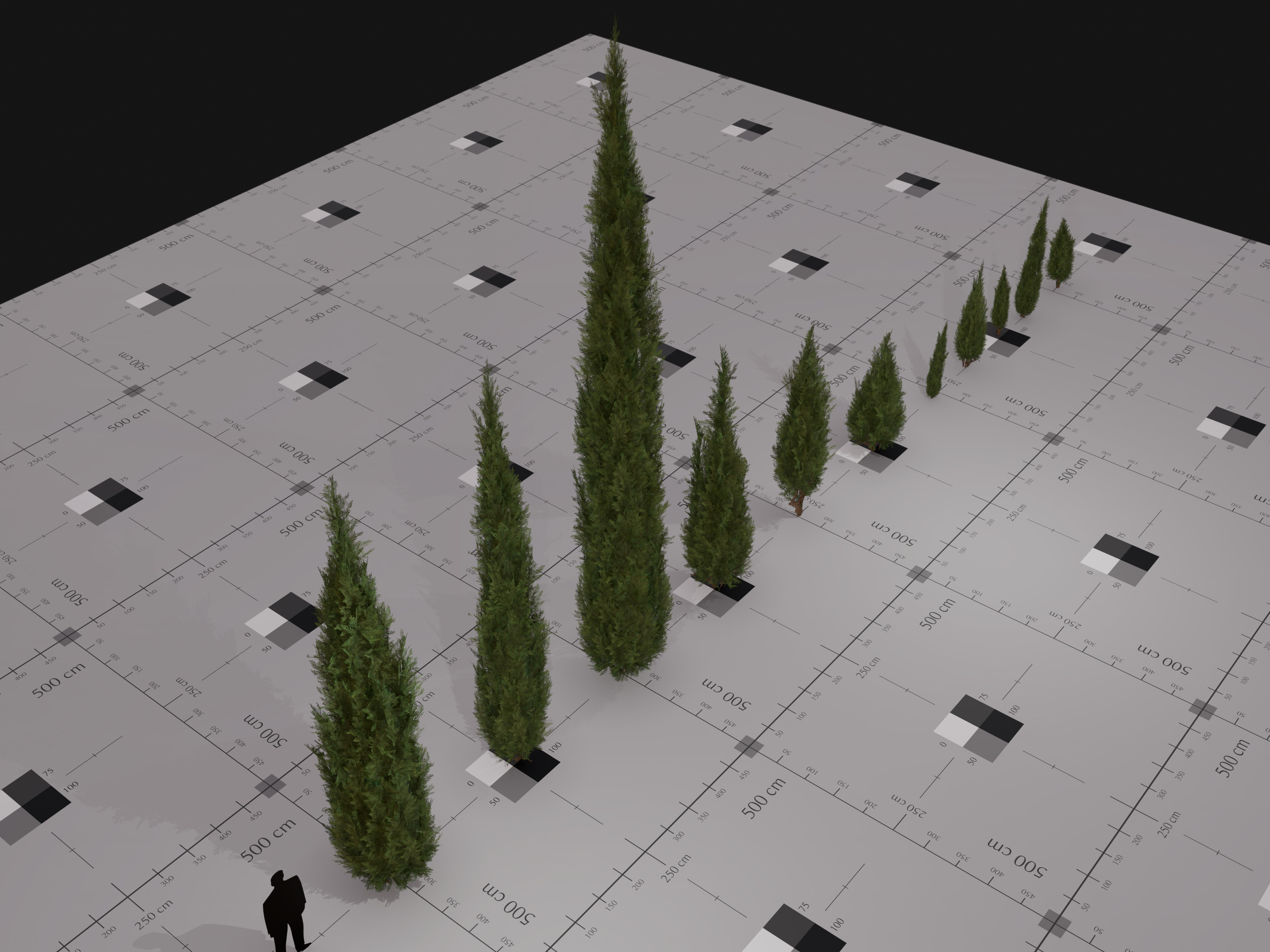 Nature Assets - Italian Cypress Low-poly 3D model_4