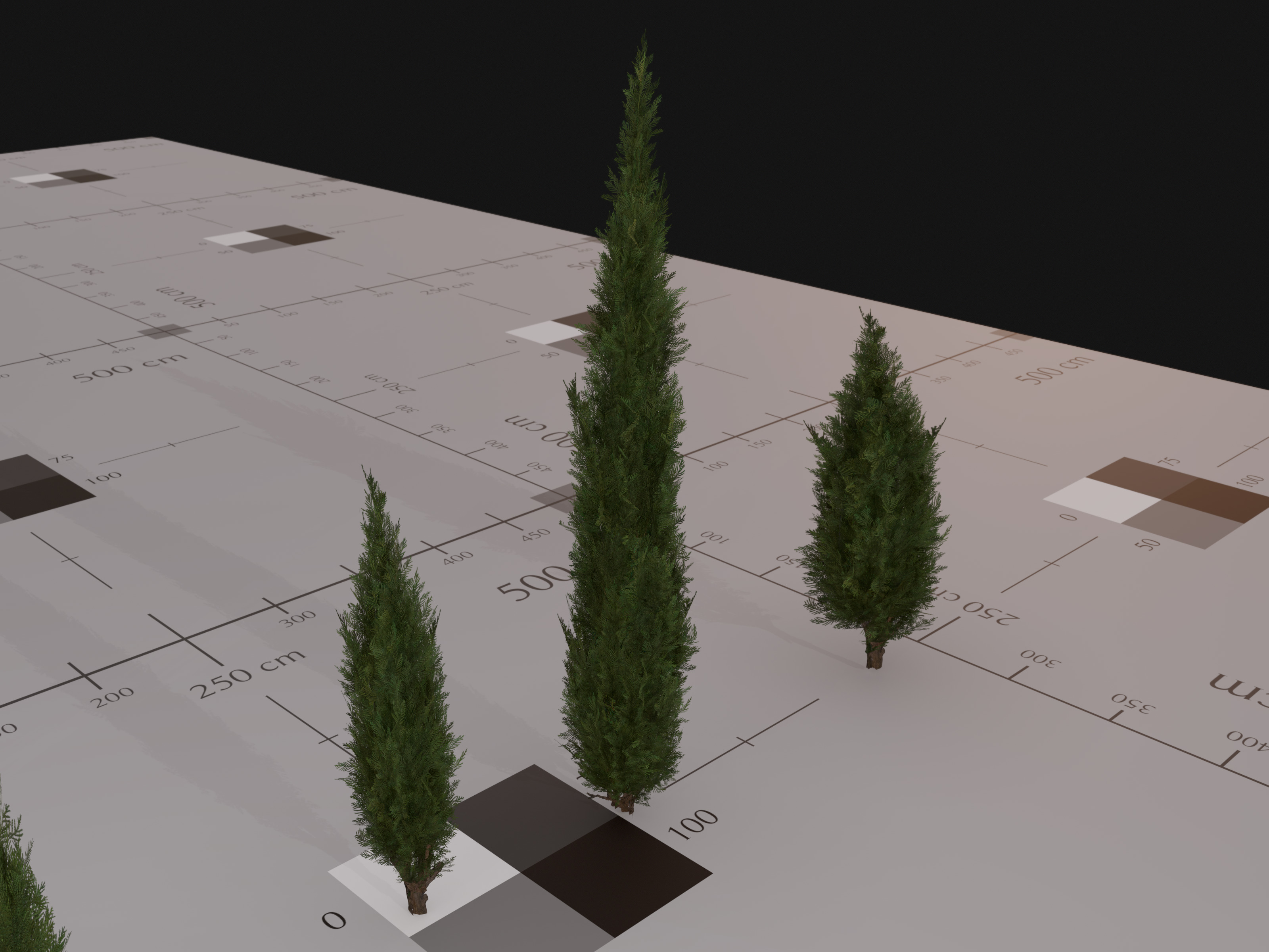 Nature Assets - Italian Cypress Low-poly 3D model_6