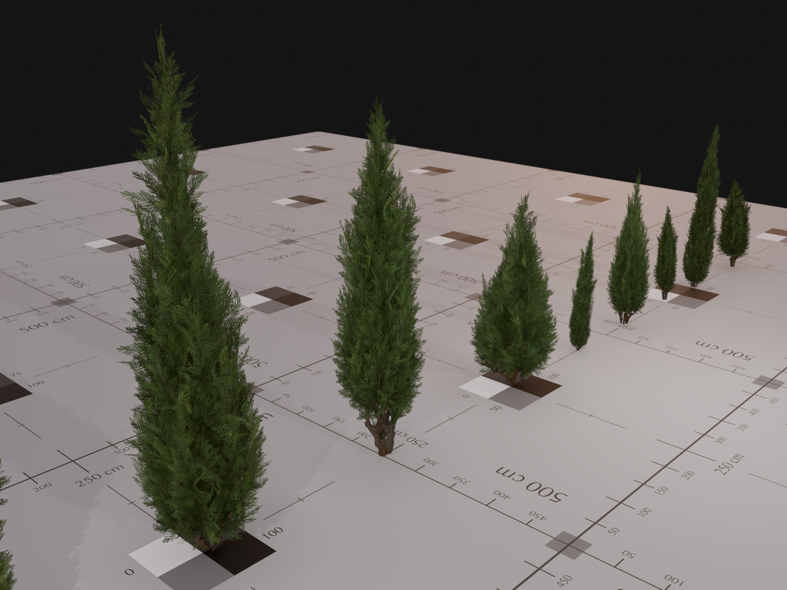 Nature Assets - Italian Cypress Low-poly 3D model_5