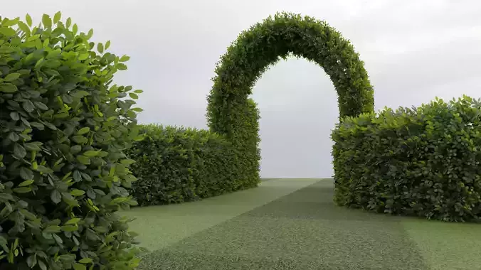 Hedge Low-poly 3D model