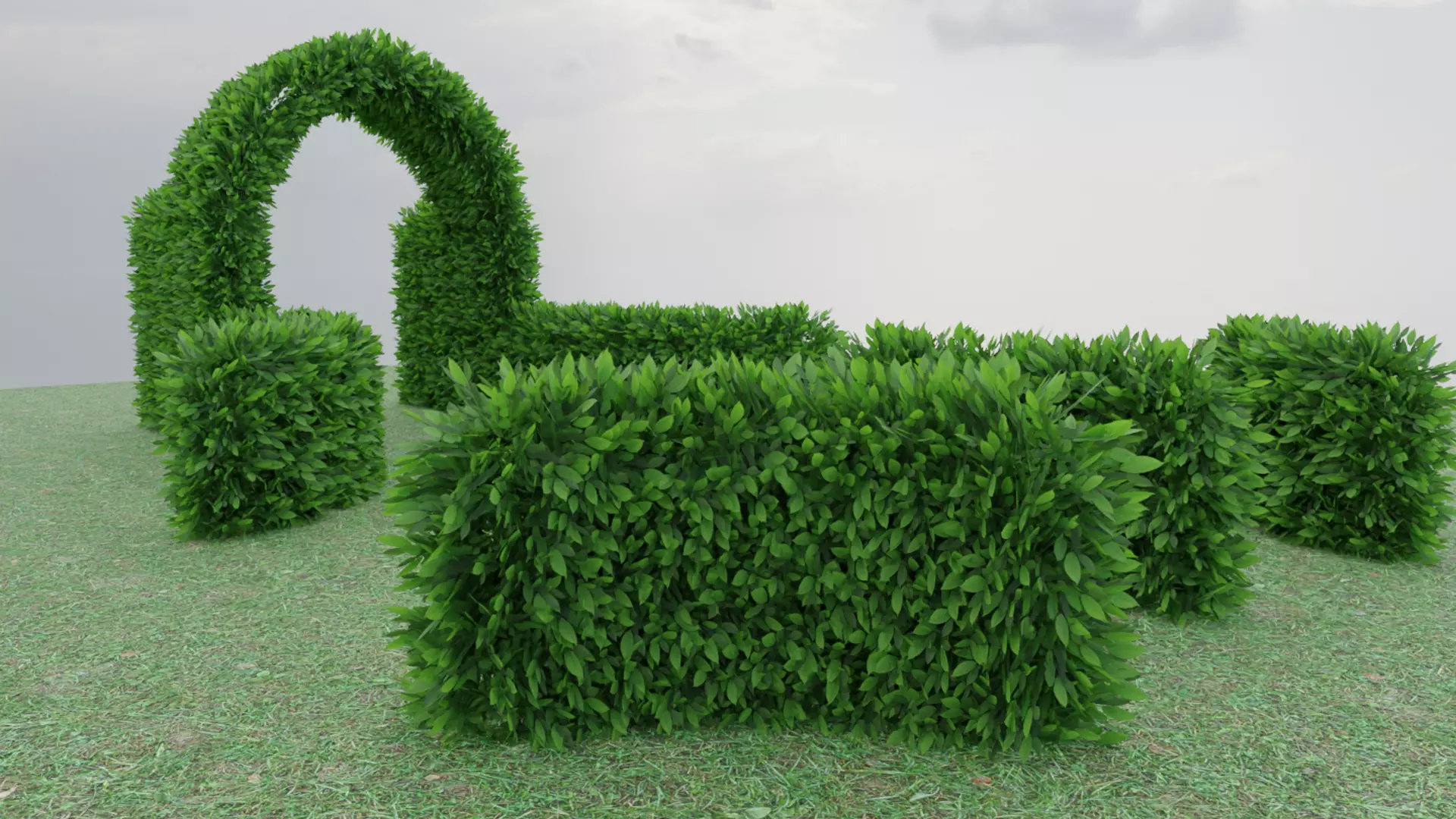 Hedge Low-poly 3D model_1