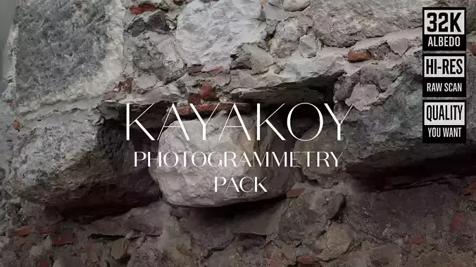 Abandoned House Ruined Part Scan - Fireplace Backwall 02